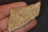 Dinosaure: fragment de collerette de TRICERATOPS HORRIDUS - Hell Creek  Fmt - crétacé sup. - Glendive County, Montana