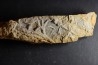 Asteriacites lumbricalis - trias - Beaune, France