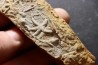 Asteriacites lumbricalis - trias - Beaune, France