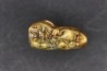 CAVERN BEAR TOOTH - Ursus spelaeus - Pléistocène from Europe.