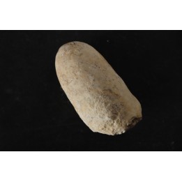 CROCODIL EGG: CROCODILIENOVUM MAJOR - Lutetian - Bouxwiller - FRANCE