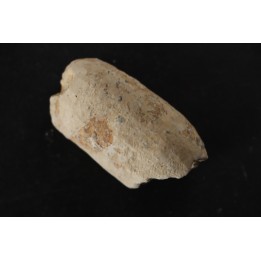 CROCODIL EGG: CROCODILIENOVUM MAJOR - Lutetian - Bouxwiller - FRANCE