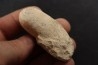 CROCODIL EGG: CROCODILIENOVUM MINOR - Lutetian - Bouxwiller - FRANCE