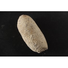 CROCODIL EGG: CROCODILIENOVUM MINOR - Lutetian - Bouxwiller - FRANCE