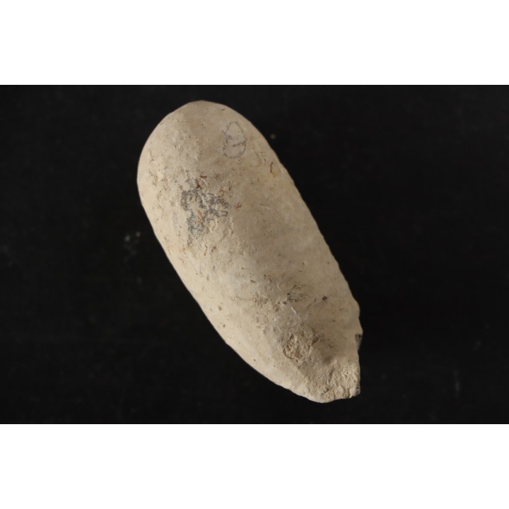 CROCODIL EGG: CROCODILIENOVUM BUXOWILLANUM - Lutetian - Bouxwiller - FRANCE