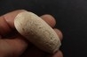 CROCODIL EGG: CROCODILIENOVUM BUXOWILLANUM - Lutetian - Bouxwiller - FRANCE