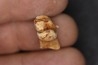 KANGAROO jaw: Macropus giganteus - Pleistocene - AUSTRALIA