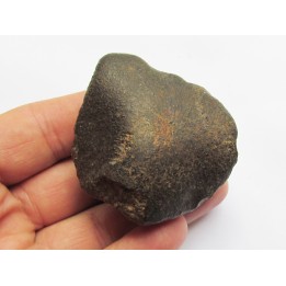 METEORITE CHONDRITE ORDINAIRE NWA (8)