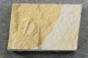 Ondontopleura markhami - silurian - Forbes NSW. Australie