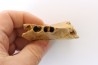 CAVERN BEAR JAW - Ursus spelaeus - Pléistocène from Europe.
