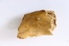 CAVERN BEAR JAW - Ursus spelaeus - Pléistocène from Europe.