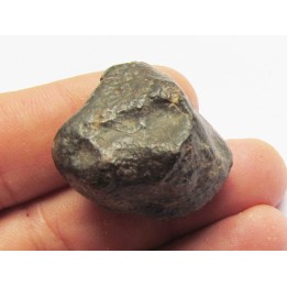 METEORITE CHONDRITE ORDINAIRE NWA (12)