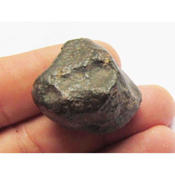 METEORITE Ordinary chondrite NWA (12)