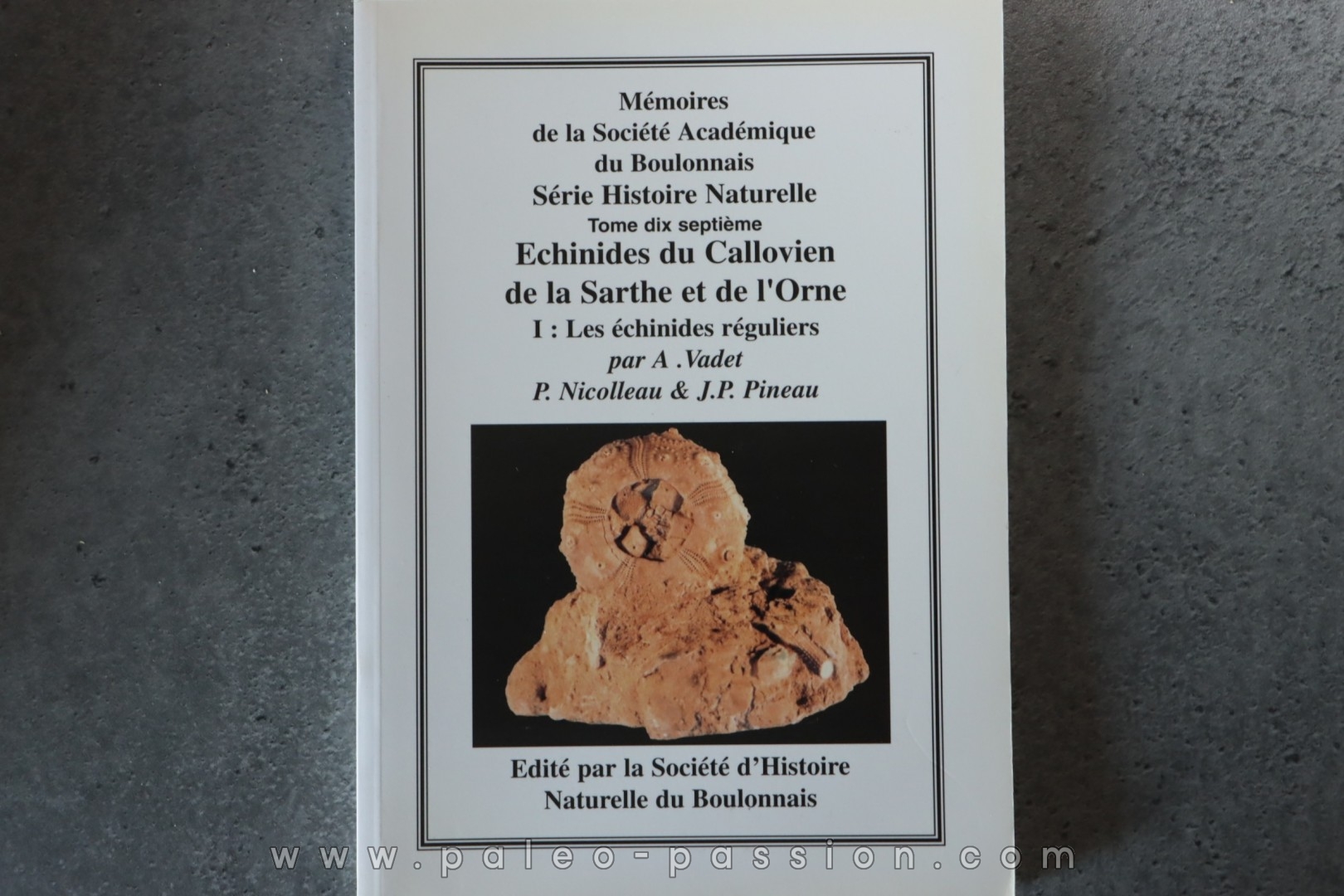 MSAB - A. Vadet & alii, 1996 Echinides du Callovien de la Sarthe et de l'Orne Partie 1: Les échinides réguliers