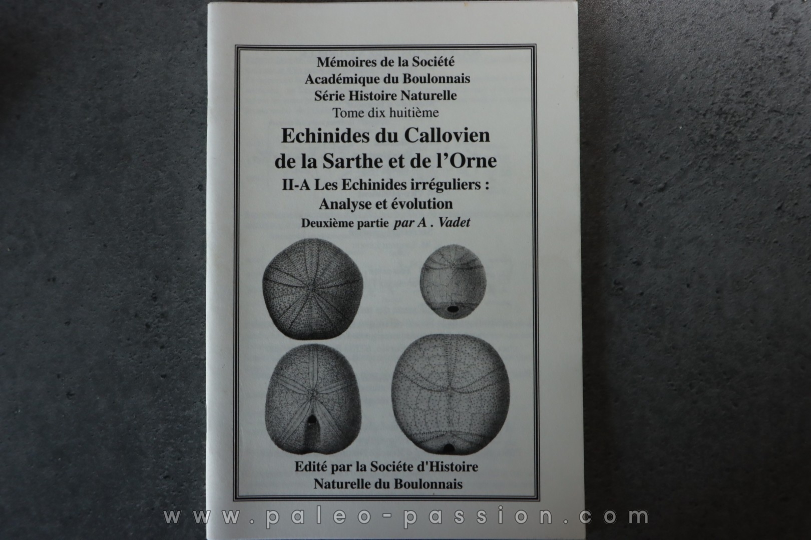 MSAB - A. Vadet & alii, 1997 Echinides du Callovien de la Sarthe et de l'Orne Partie 2a: Les échinides irréguliers