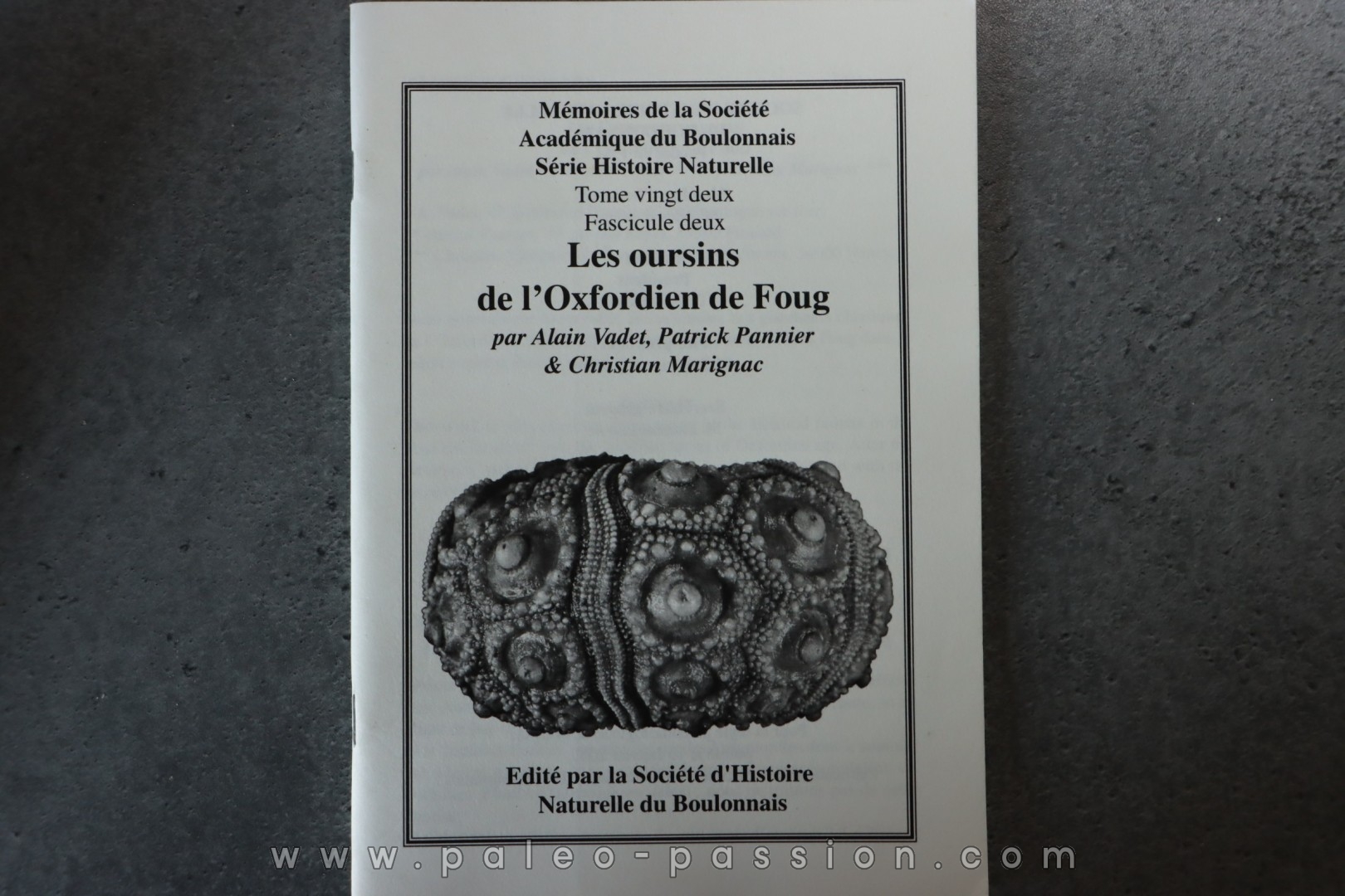MSAB - A. Vadet & alii, 2002 Les oursins de l'Oxfordien de Foug