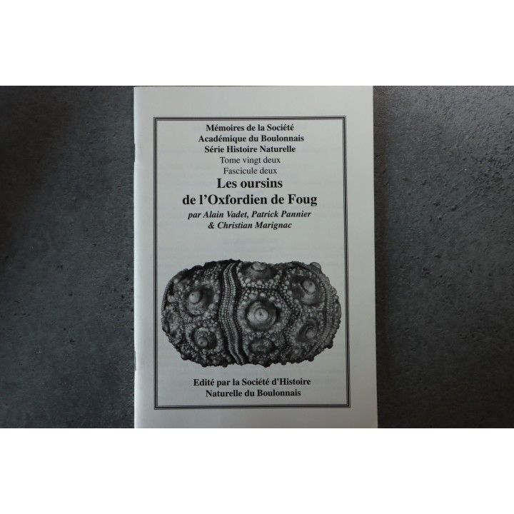MSAB - A. Vadet & alii, 2002  Les oursins de l'Oxfordien de Foug