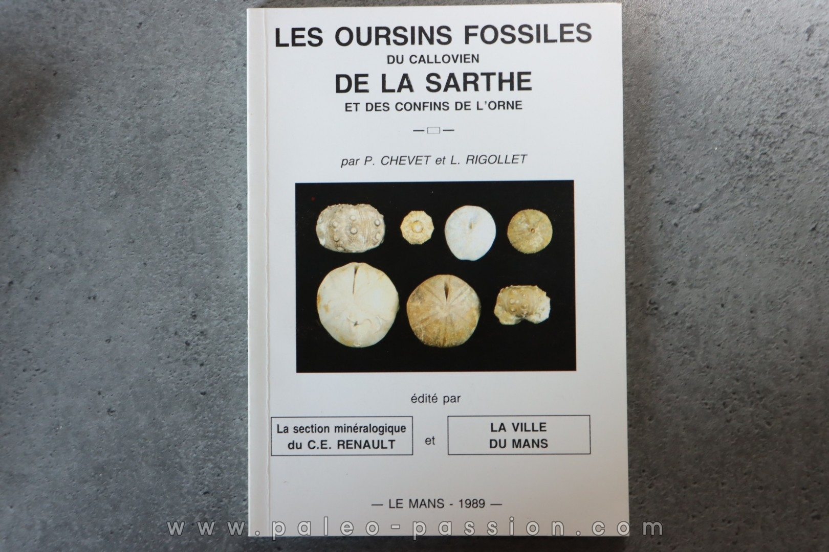 P Chevet & L Rigollet, 1989 : Les oursins fossiles du Callovien de la Sarthe et des confins de l'Orne