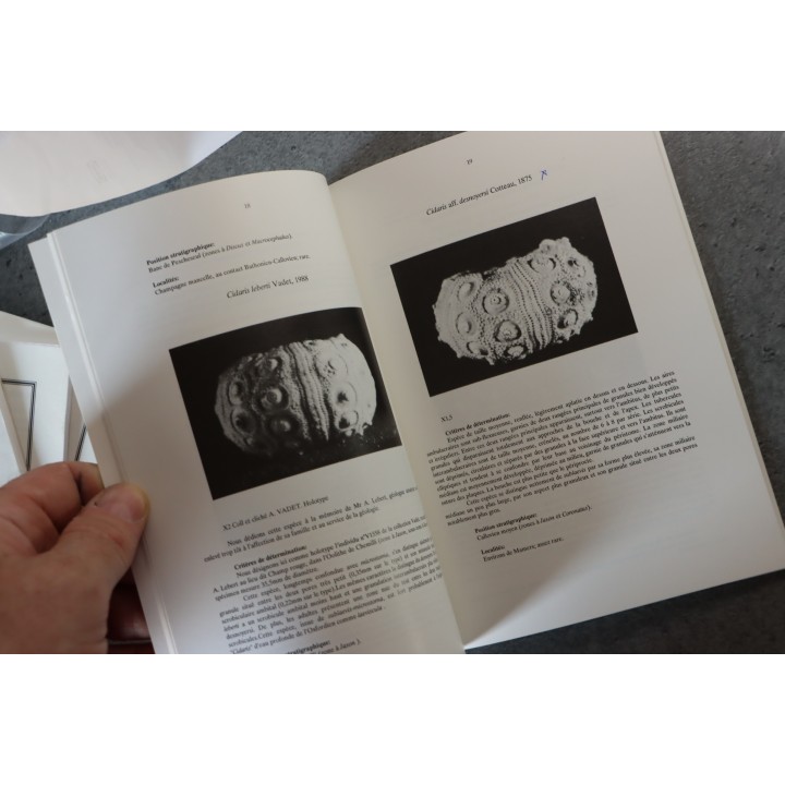 P Chevet & L Rigollet, 1989 :  Les oursins fossiles du Callovien de la Sarthe et des confins de l'Orne