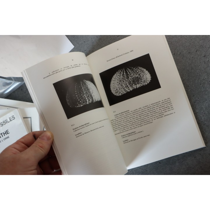 P Chevet & L Rigollet, 1989 :  Les oursins fossiles du Callovien de la Sarthe et des confins de l'Orne
