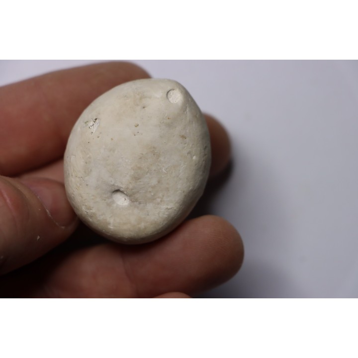 Echinocorys gravesi  Turonien  Wullembei Ahaus, Germany