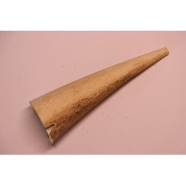 Mammoth ivory - Alaska, USA