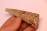Mammoth ivory - Alaska, USA