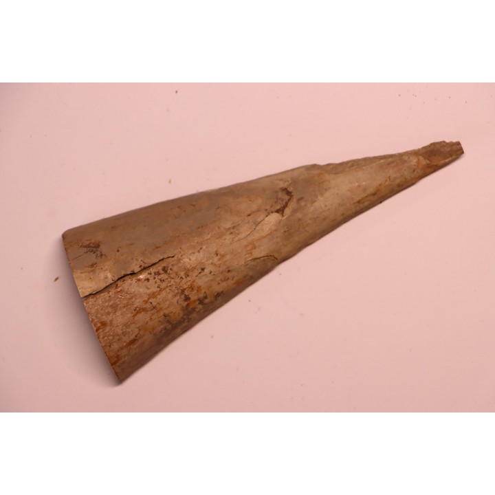 Mammoth ivory - Alaska, USA