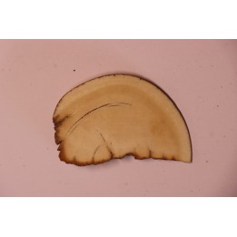 Mammoth ivory - Alaska, USA