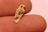 CAINOTHERIUM sp. - Miocene - Massif Centrale, FRANCE