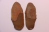 Annularia sphenophylloides - carboniferous - Mazon creek - Coal City, - Illinois - USA