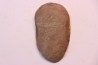 Nodule de fougère: Annularia radiata - carbonifère - Stannton Fmt - Terre Haute, Indiana- USA
