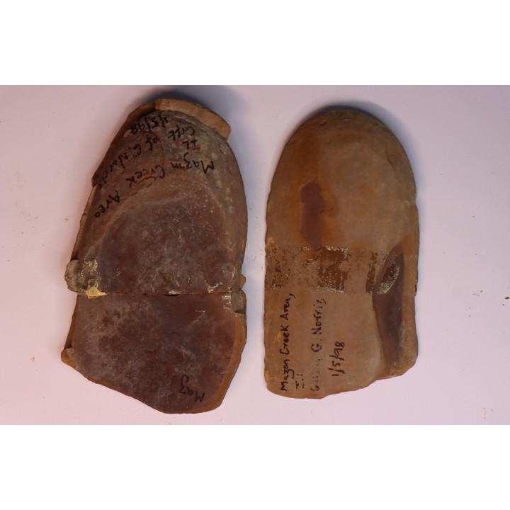 Nodule de fougère: Crenulopteris acadica - carbonifère - Mazon creek - Illinois - USA