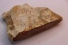 slice of pink wood - conifère - triassic - Madagascar