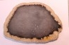 belle tranche de BOIS SILICIFIE - palmoxylon - oligocene - Catahoula fmt - Louisiane, USA