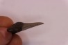 dent de requin: CARCHARODON MEGALODON