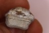 Ptychodus marginalis - Cretaceous - Carlisle Fmt - Kansas - USA