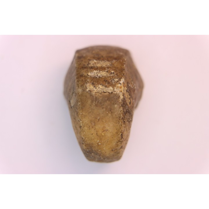 nautile:  Somalinautilus clavifer - Bathonien - Saint Benin d'Azy (58) FRANCE