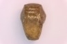 nautile:  Somalinautilus clavifer - Bathonien - Saint Benin d'Azy (58) FRANCE