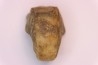 nautile:  Somalinautilus clavifer - Bathonien - Saint Benin d'Azy (58) FRANCE
