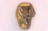 nautilus: Somalinautilus clavifer - Bathonian - Saint Benin d'Azy - FRANCE