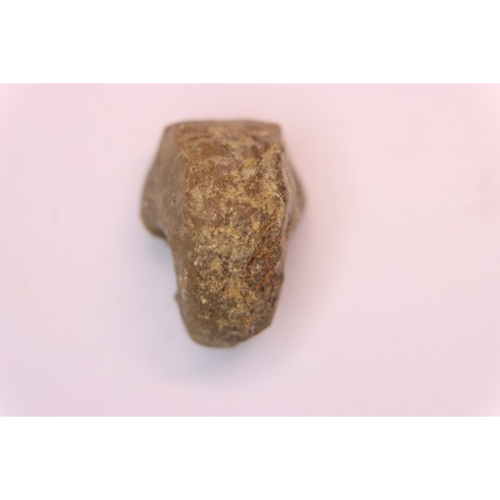 nautile:  Somalinautilus clavifer - Bathonien - Saint Benin d'Azy (58) FRANCE