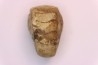 nautile: Somalinautilus clavifer - Bathonien - Saint Benin d'Azy (58) FRANCE