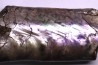 BACULITES COMPRESSUS - campanien - Pierre Shale Fmt - Dakota du sud – USA