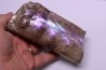 BACULITES COMPRESSUS - campanien - Pierre Shale Fmt - Dakota du sud – USA