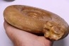 Leptosphinctes leptus - bajocian - Bayeux -14 - FRANCE