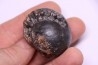 Arcestes bicarinatus  anisien - Trias  GRECE