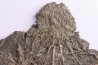 Archaeocidaris brownwoodensis et tres rare Elliptechinus kiwiaster - Pennsylvanian - Texas, USA
