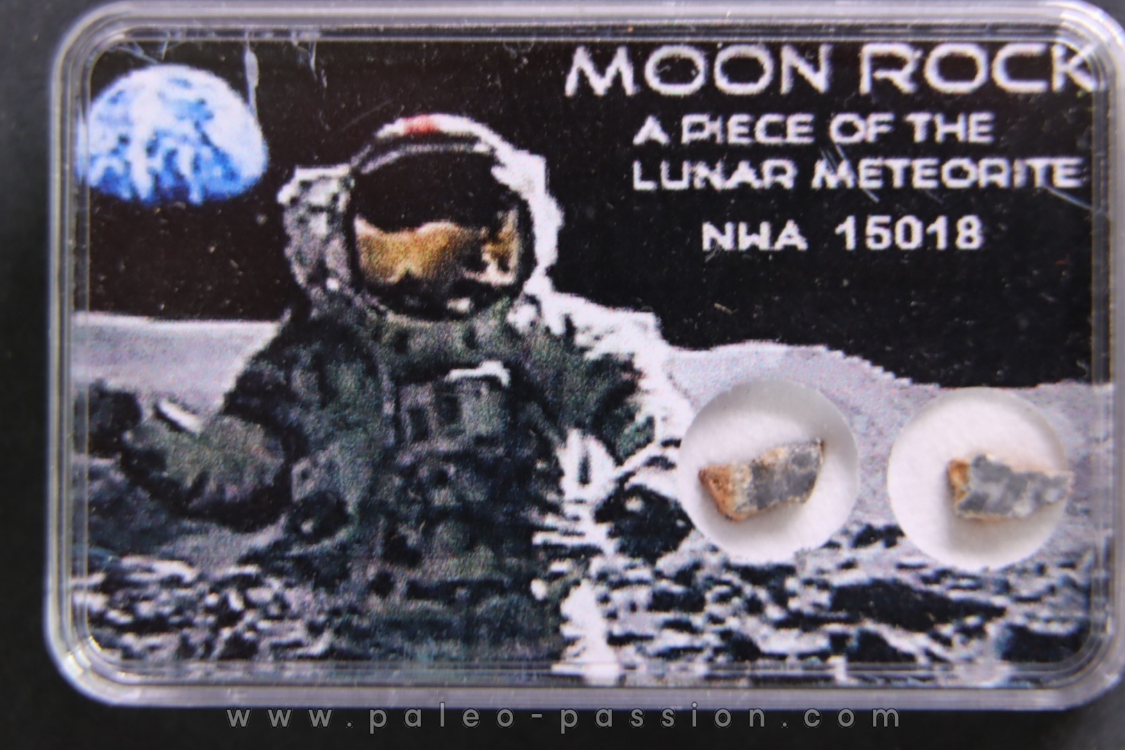 MOON ROCK: Lunar feldspath breccia - NWA 15018