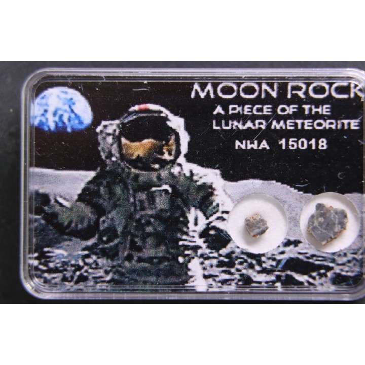 MOON ROCK: Lunar feldspath breccia - NWA 15018